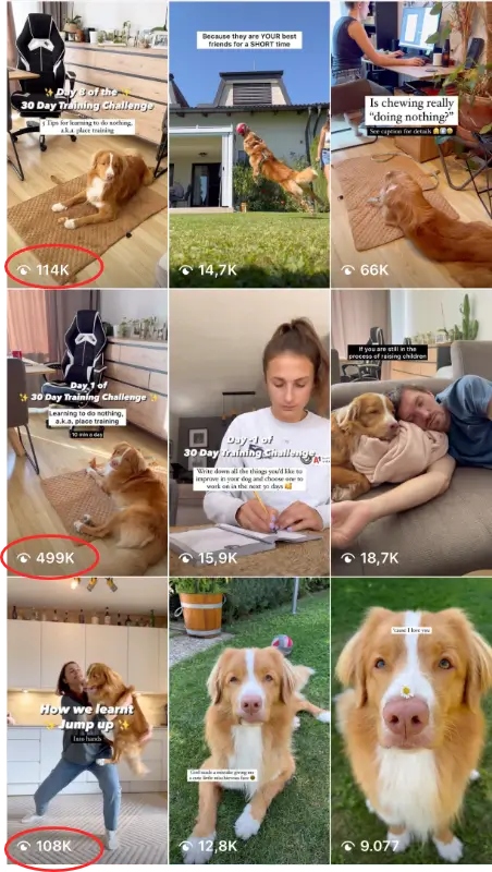 Viral feed 1