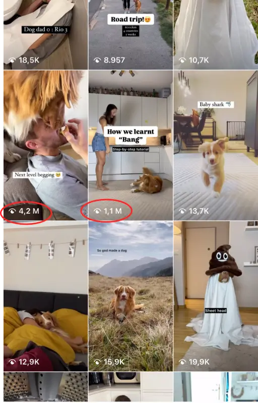 Viral feed 2