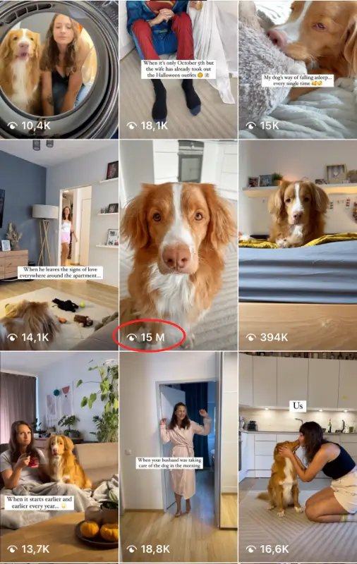 Viral feed 3