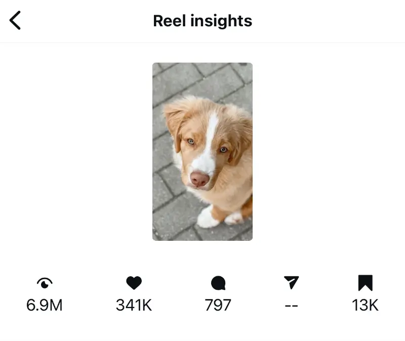Viral reel 2