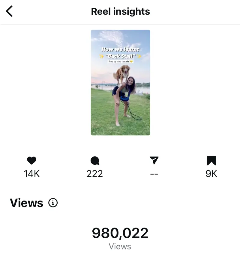 Viral reel 5