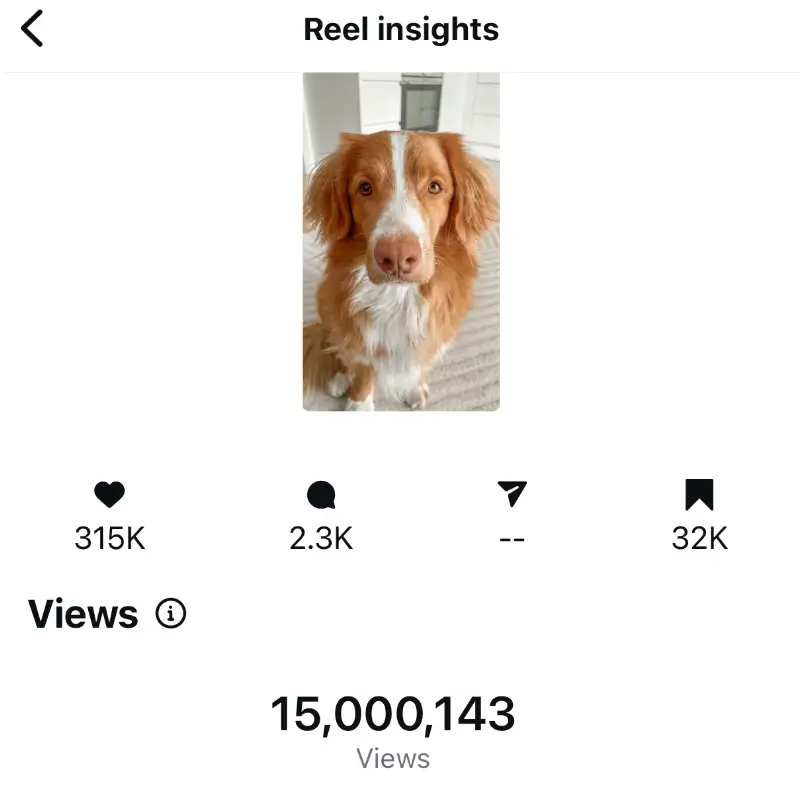 Viral reel 7